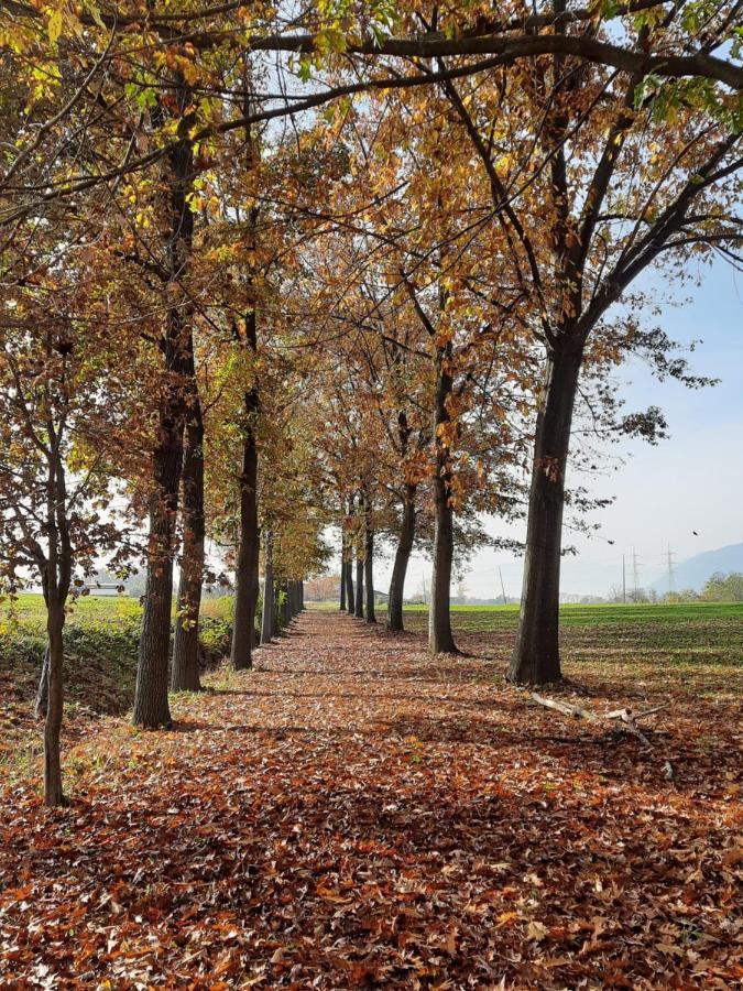 Bed & Breakfast Cascina Cortese *